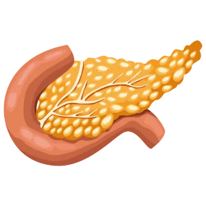 páncreas Cirujano Gastroenterólogo en Guadalajara